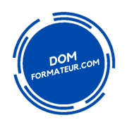 Domformateur com logo transparent