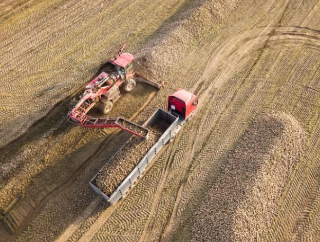 Ptra de 48 tonnes pour la recolte de betteraves